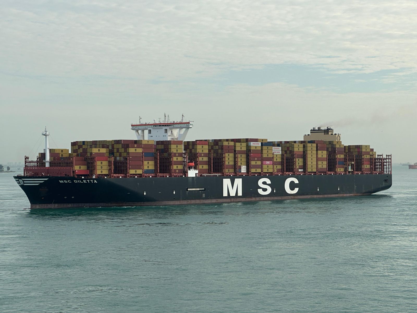 Container ship loaded with cargo at sea